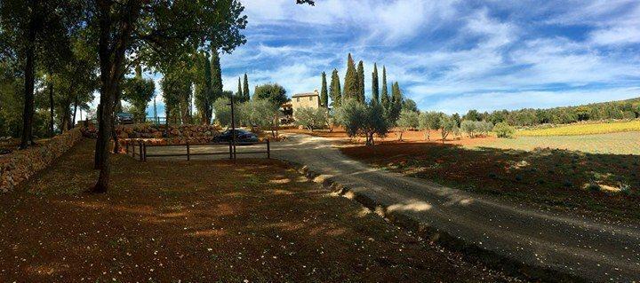 La Tenuta Di Castelvecchio San Gimignano Dış mekan fotoğraf